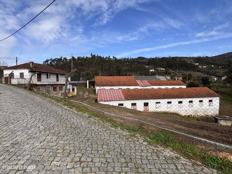 Venda de Armazens e Moradia em Codeçoso (Celorico de Basto) - Grande imagem: 4/10