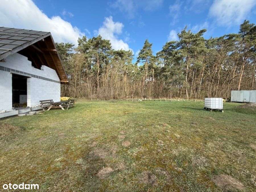 Dom przy ścianie lasu, Podlesie Wysokie-5
