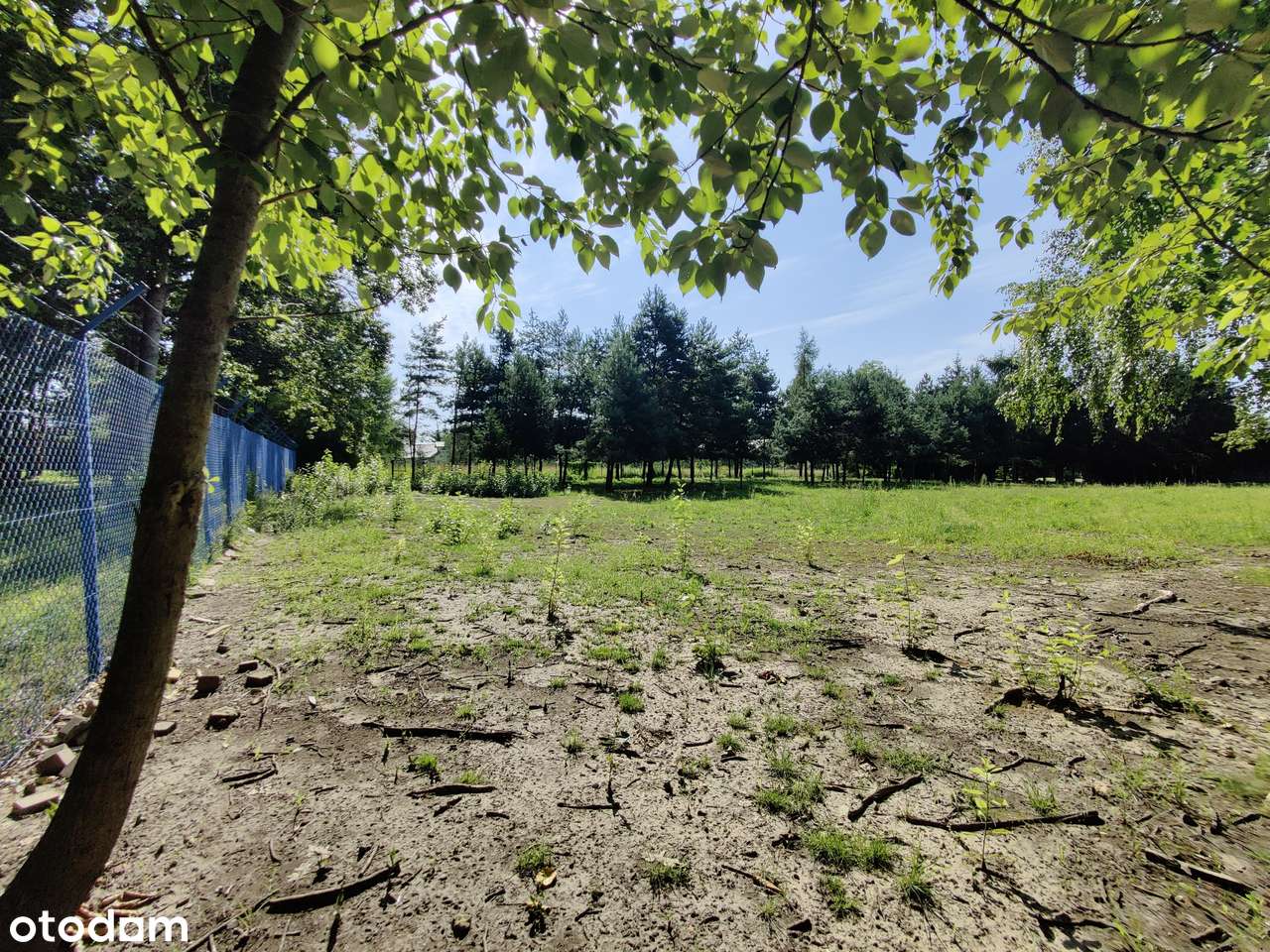 Ogrodzona rolno-budowlana w Janowie-14