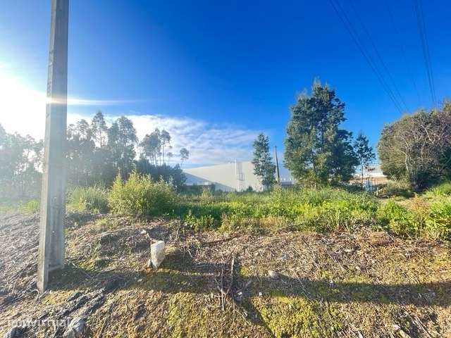 Terreno com 606m2, localizado próximo do Centro de Canelas!-6