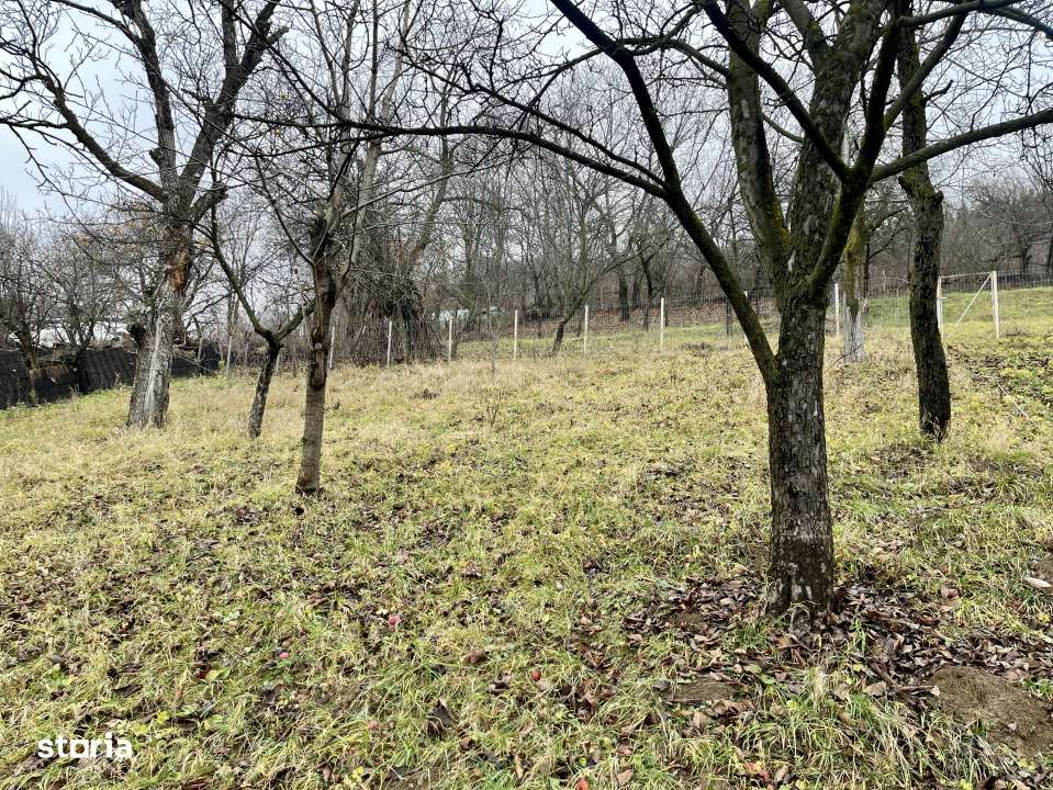 Teren 1357 mp cu vedere panoramica superba – Dimitrie Cantemir, Piat - Imagine principală: 4/17