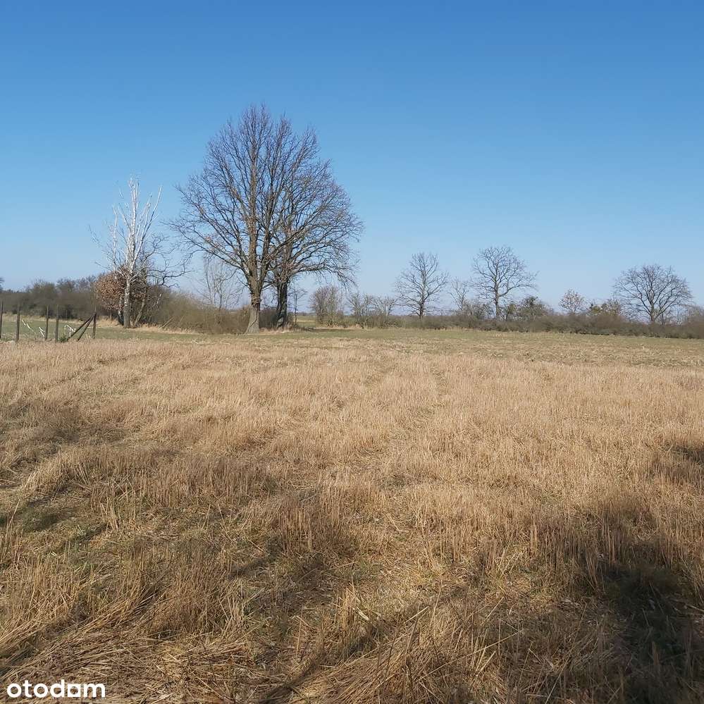 Rola pod inwestycję, Nienawiszcz ,blisko jezioro-3