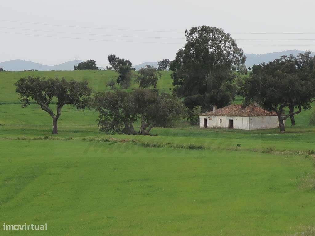 Quinta em excelente localização-26