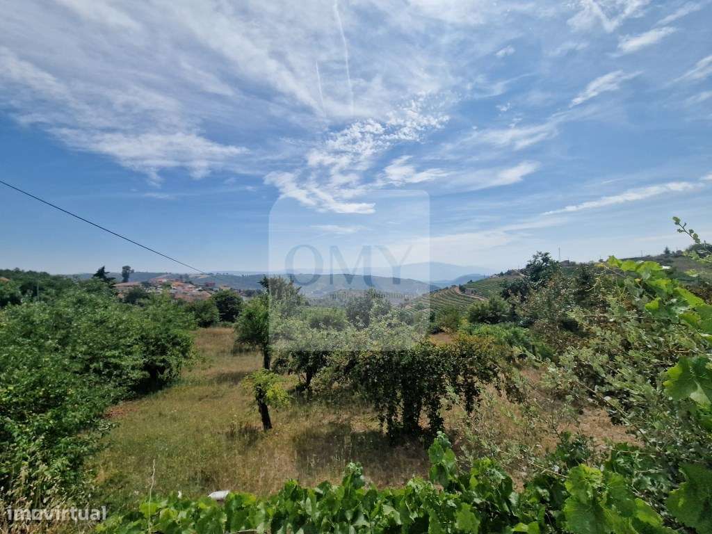 Terreno plano de 830 m² em Abaças, Vila Real-5