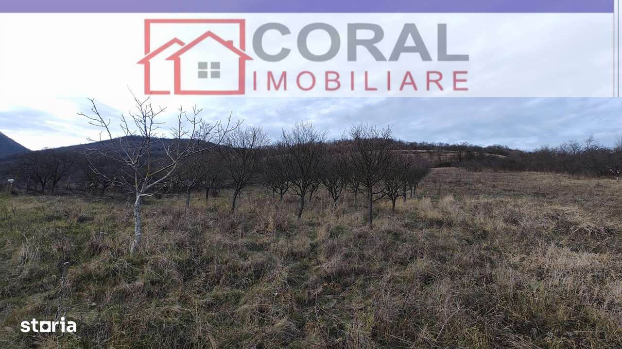 De vanzare teren extravilan, zona cetatii - Imagine principală: 4/4