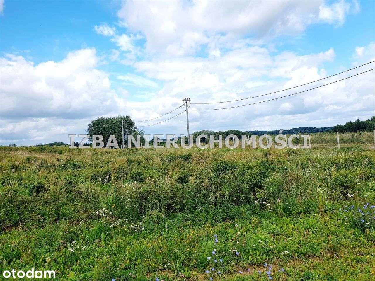 Działka, 3 150 m², Chruściele-10