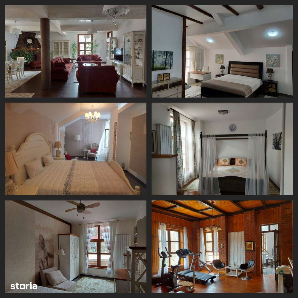 Vila Horezu Romanii de Jos - Imagine principală: 4/20