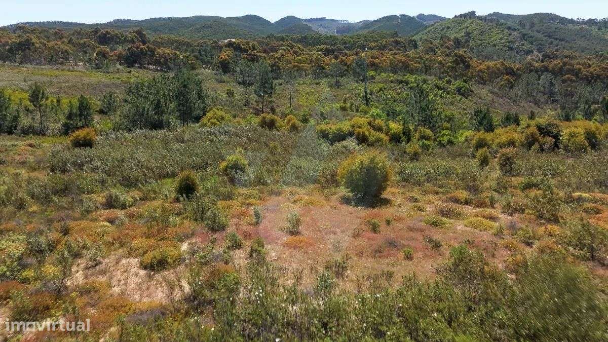 Terreno Serominheiro - Grande imagem: 5/6