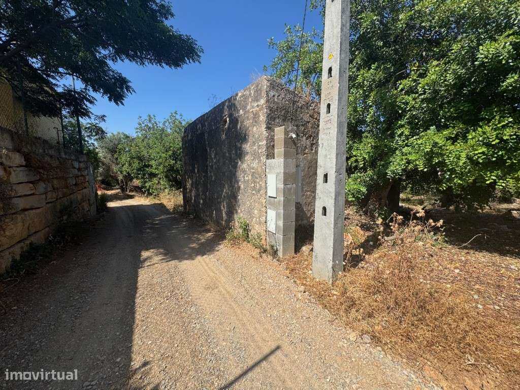 Terreno com 24.080 m², Ruínas e Moradia T2 em Madeira - Moncarapacho-11