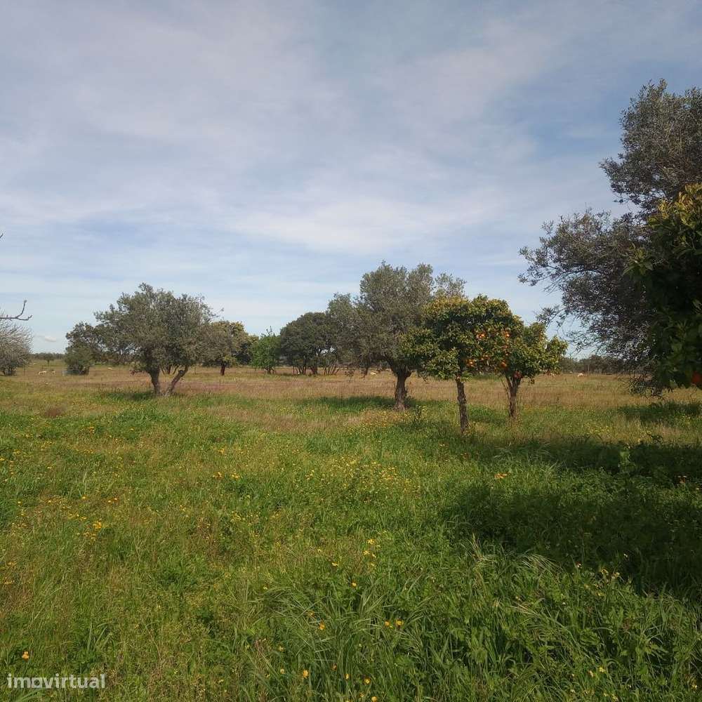 Monte Alentejano junto a Mourão-8
