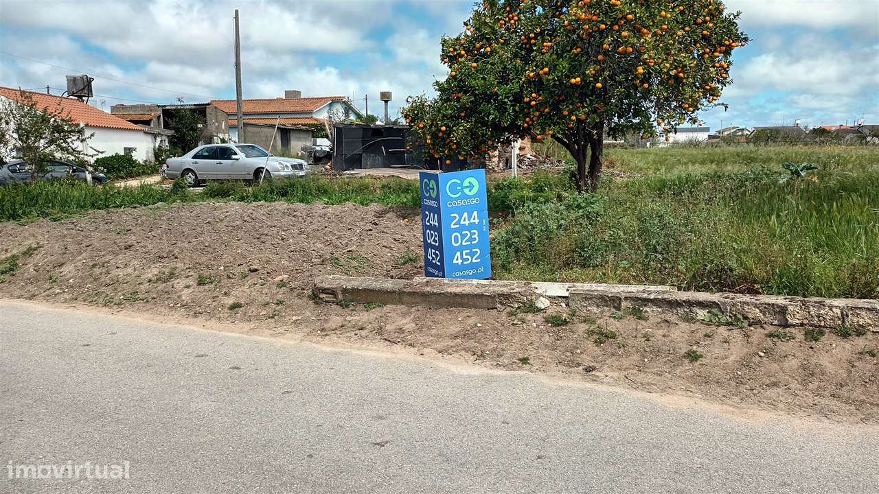 Terreno plano para construção / 7 900 m2 / Amor / Leiria - Grande imagem: 5/21