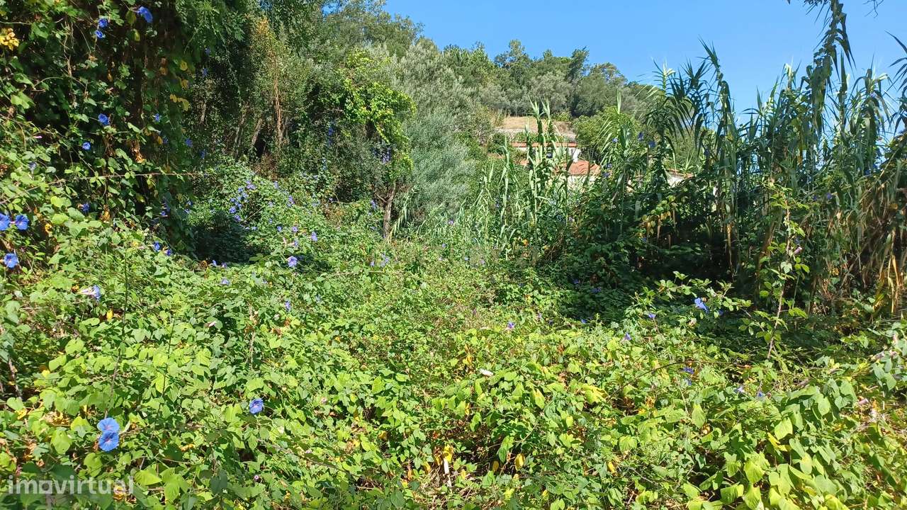 Vendo Quinta em Coimbra-27
