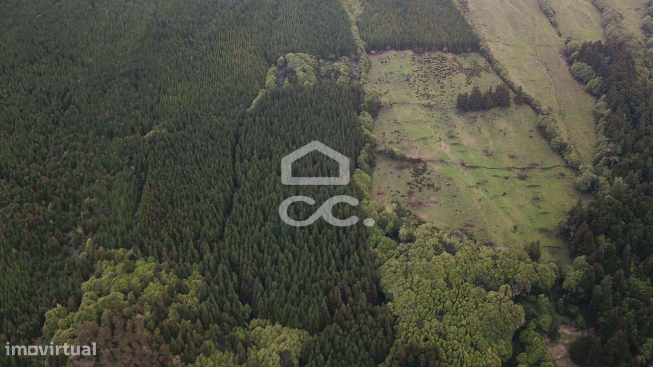 Terreno com 41.624,00 m2 - Santo Amaro - São Roque do Pico-5