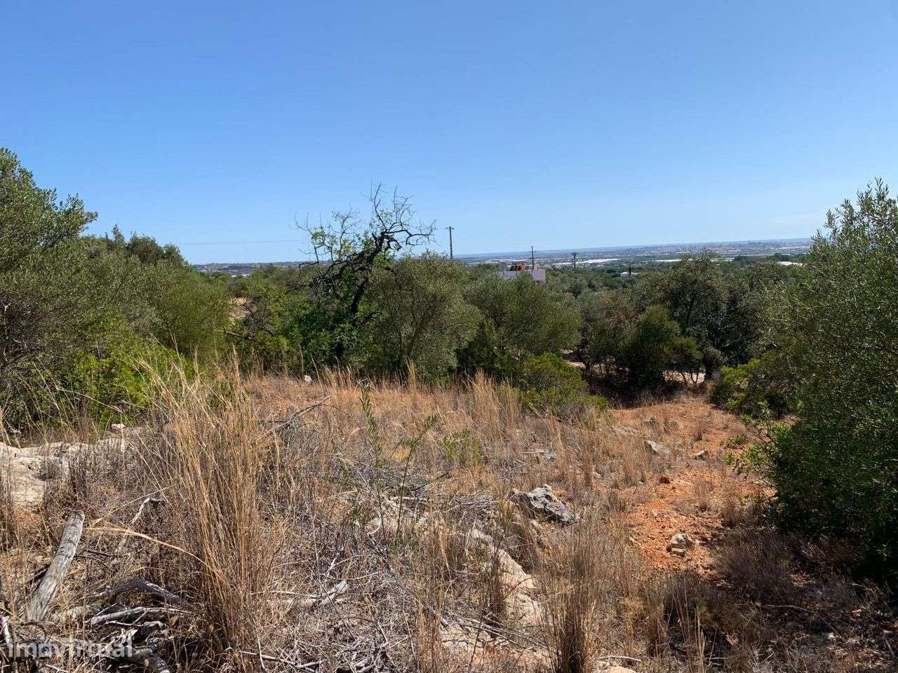 Terreno Urbano, com 3 artigos, Colmeal-26