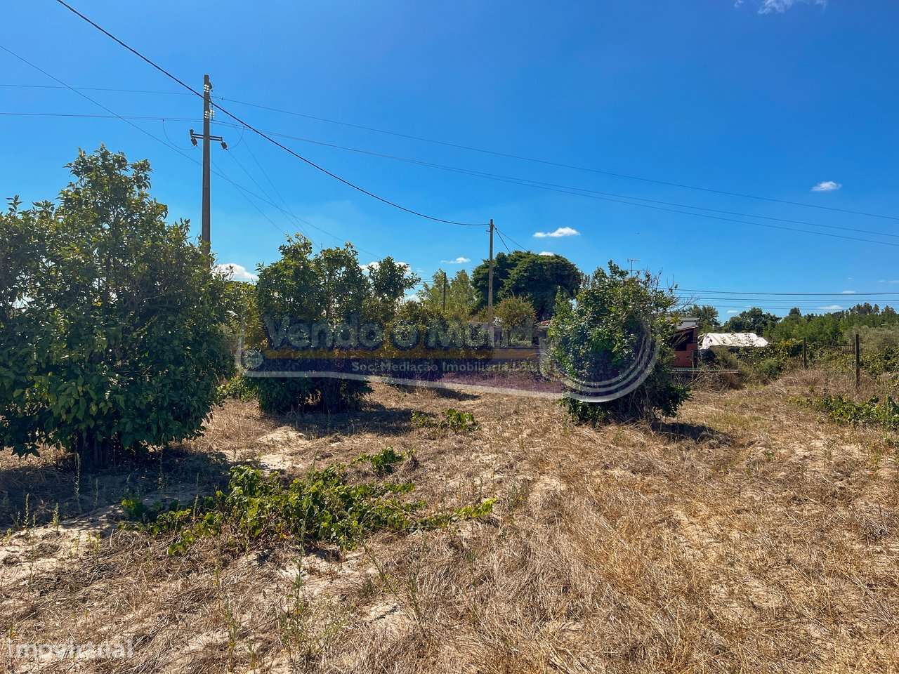 Terreno Rústico em Várzea Fresca (F787) - Grande imagem: 4/9