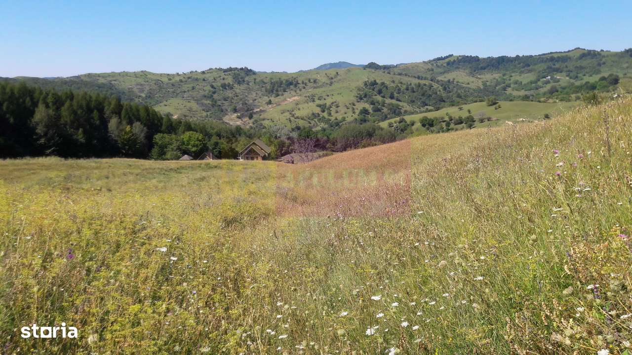 Teren intravilan de vanzare in Breaza (dezvoltare imobiliara) - Imagine principală: 2/10