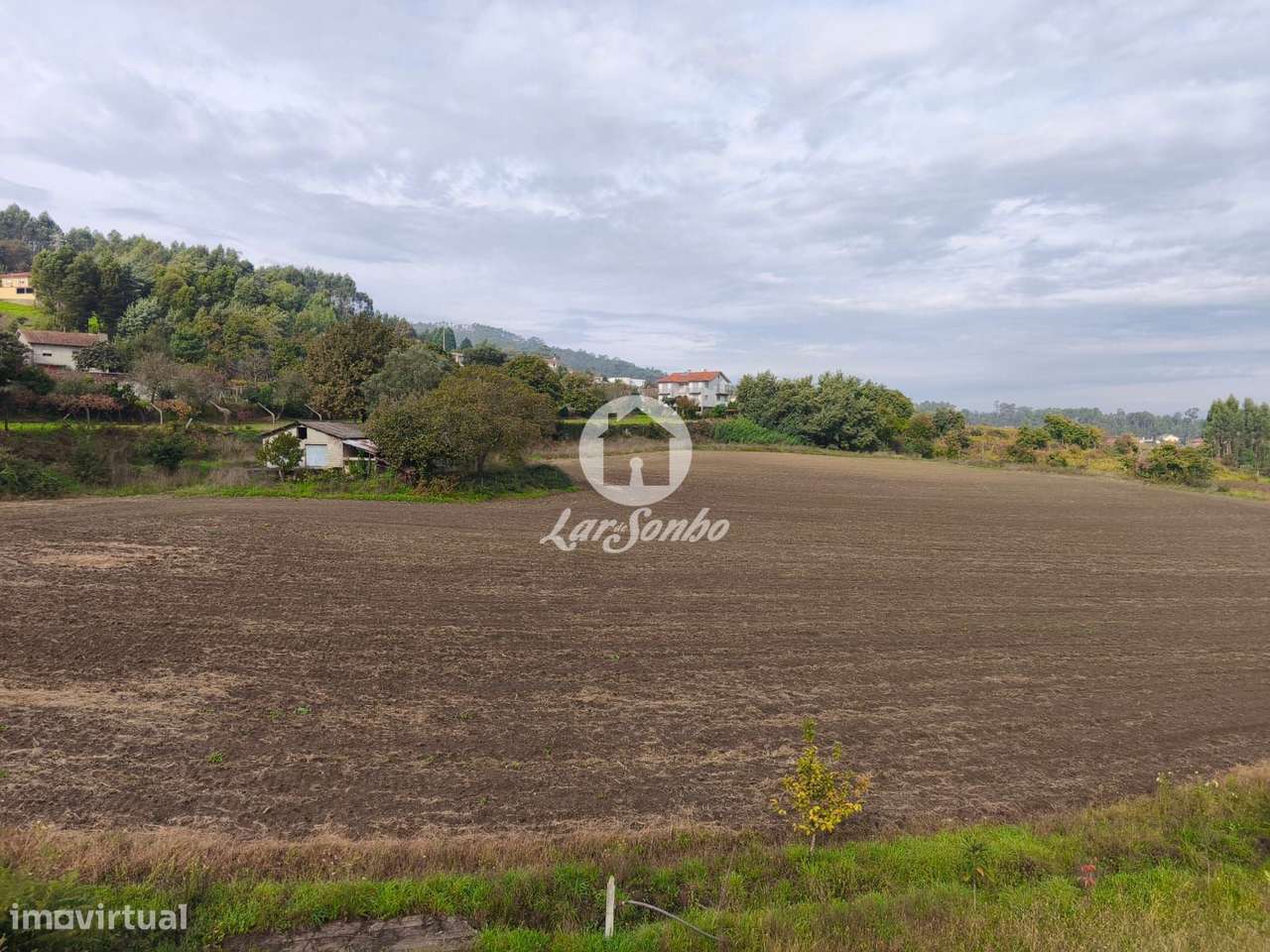 Terreno agrícola - Grande imagem: 3/17