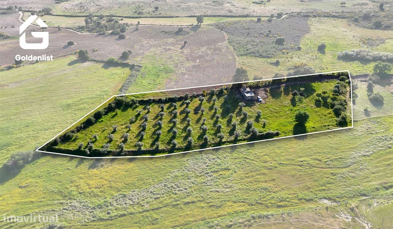 Quintinha  Venda em Escalos de Cima e Lousa,Castelo Branco-40