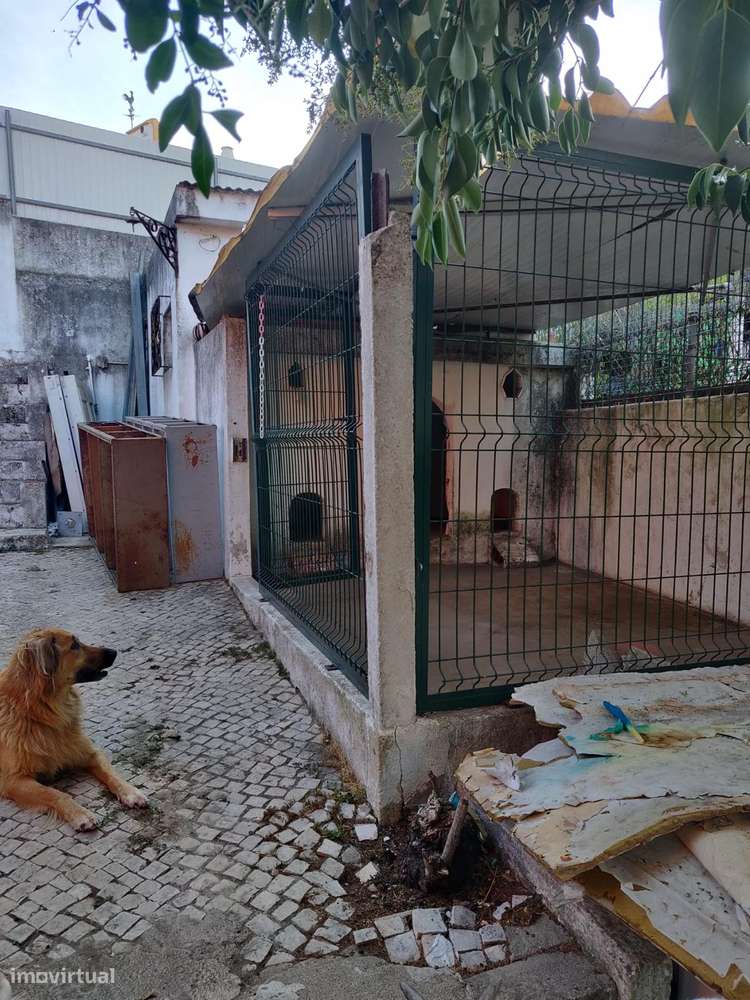 Moradia T5 com 2 Cadernetas + 3 Utilizações Independentes | Loures.-16