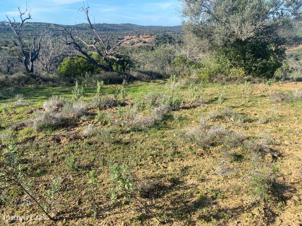 Lote de terreno rústico situado em zona muito tranquila, Boliqueime... - Grande imagem: 3/14