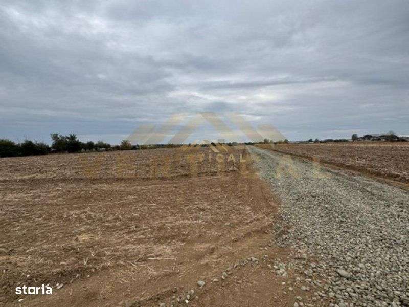 Teren Intravilan 500 mp, Vidra, ideal investitie - Imagine principală: 3/5