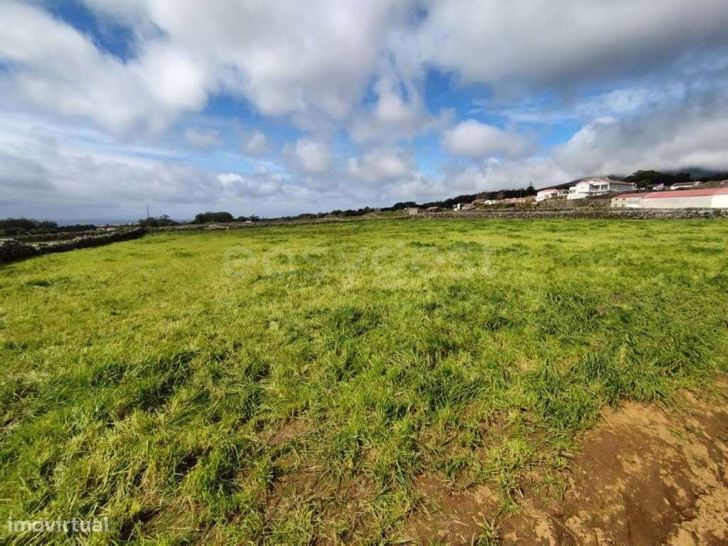 Terreno Rústico em São Mateus 7986 metros quadrados - Grande imagem: 5/21