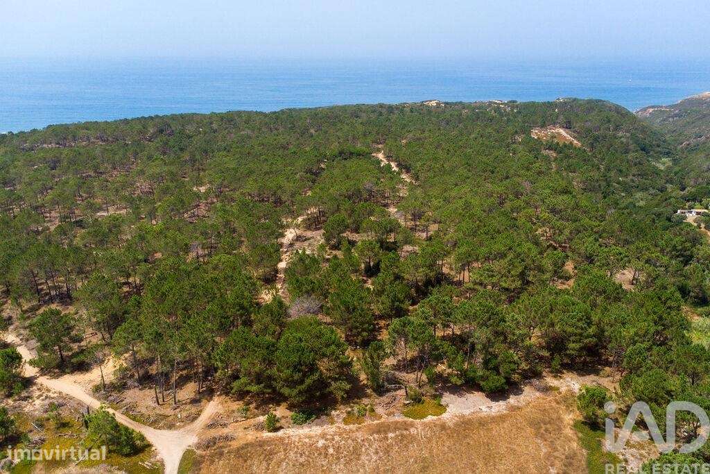 Terreno para construção em Rogil de 340,00 m2 - Grande imagem: 5/28
