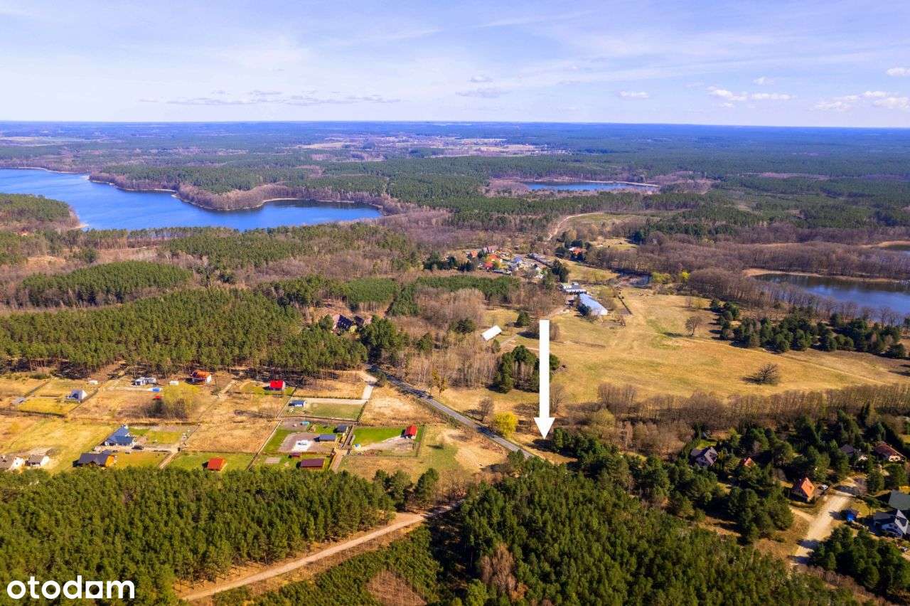 Przy Jez. Wędromierz, Pszczewski Park Krajobrazowy - Pełny obrazek: 4/8