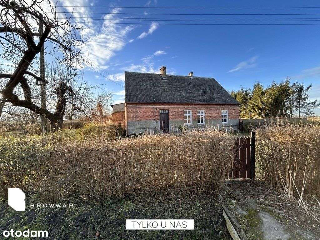 Działka siedliskowa 2,5ha, zabudowana z padokami