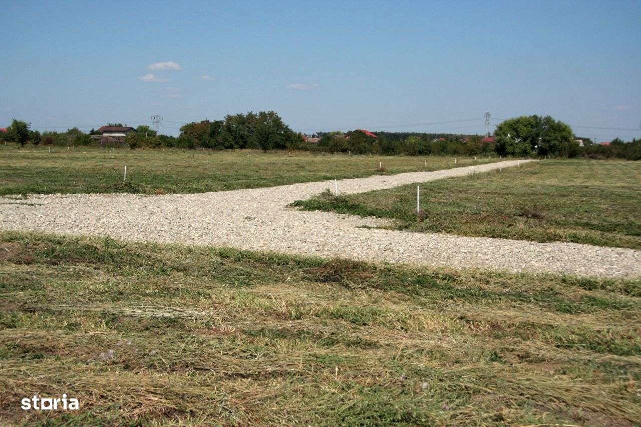 Loturi teren, pret foarte bun, proiect Tartasesti 100 - Imagine principală: 4/5