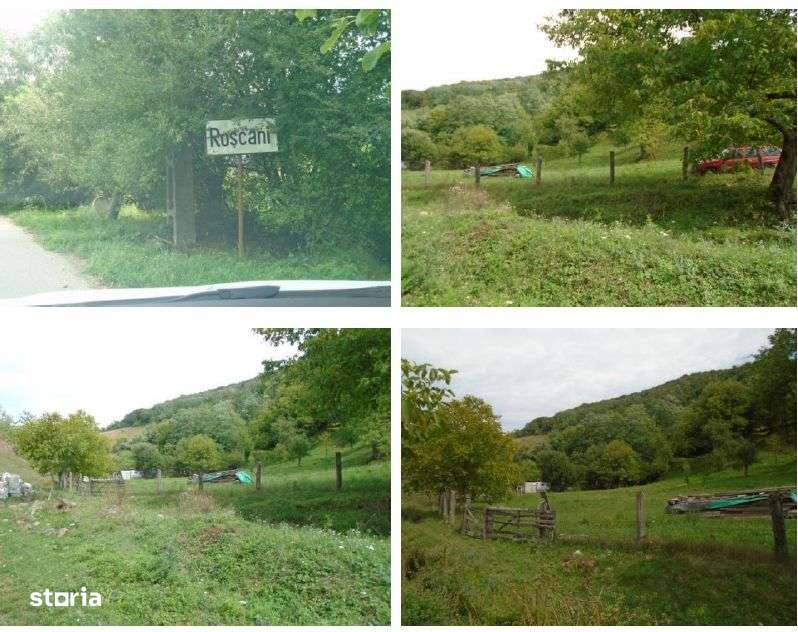 Teren extravilan-Loc. Roscani, comuna Dobra, judetul Hunedoara; - Imagine principală: 4/5