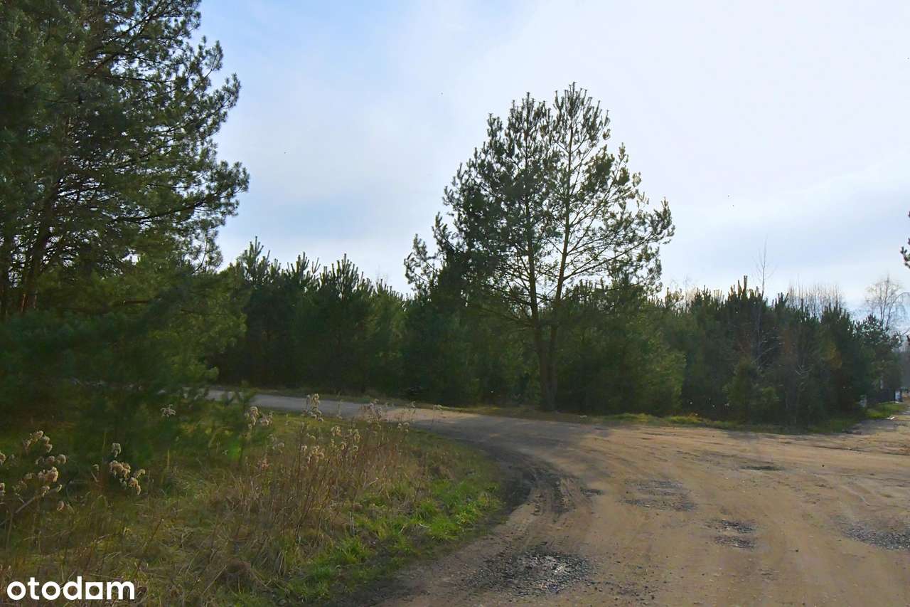 Piękna działka blisko lasu, Miłoszyce - Pełny obrazek: 5/11