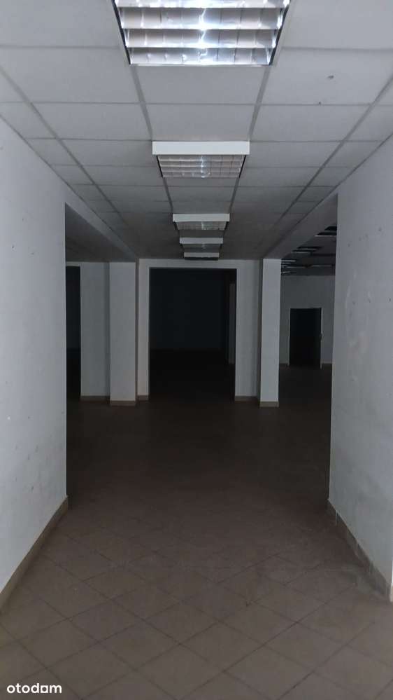 Lokal w centrum miasta do wynajęcia - Pełny obrazek: 5/13