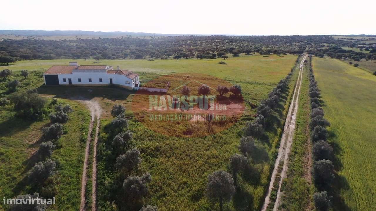 Herdade com 750 hectares no Alentejo - Grande imagem: 4/19
