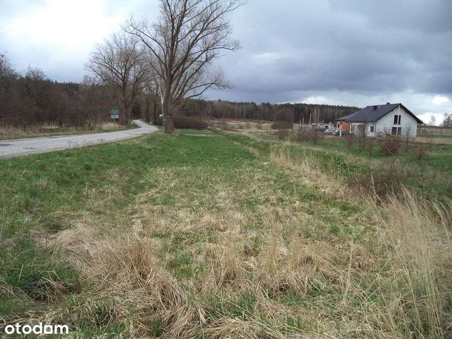 działka w Siodle - Pełny obrazek: 4/11