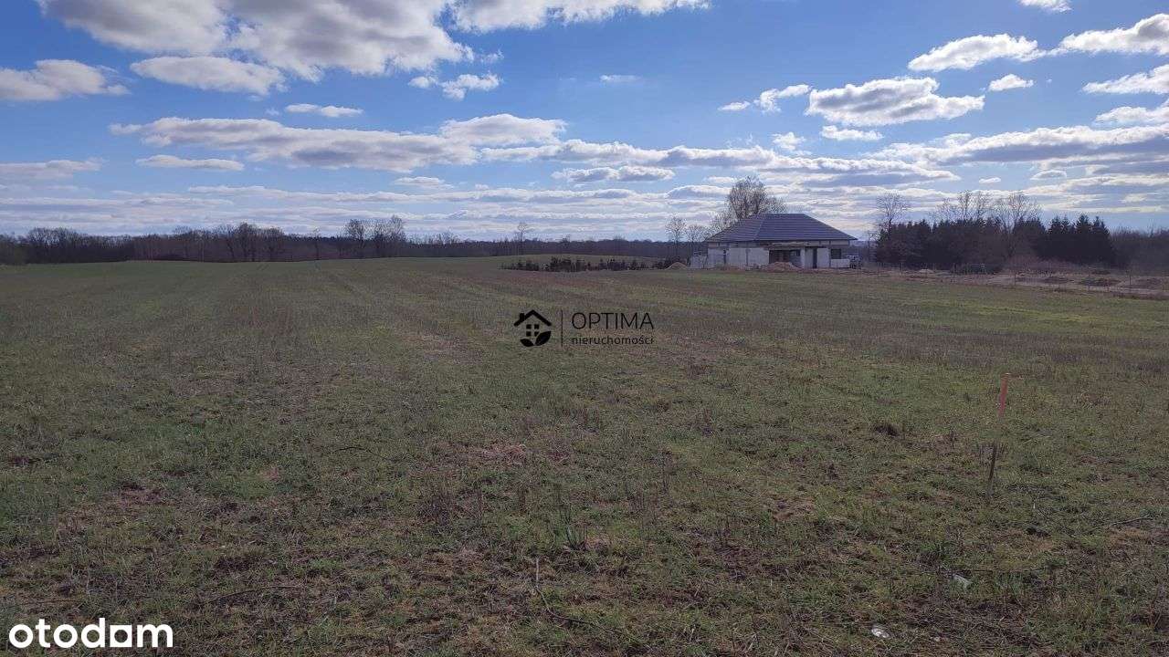 Gościno ul. Klonowa, 1208m2, warunki zabudowy - Pełny obrazek: 4/6