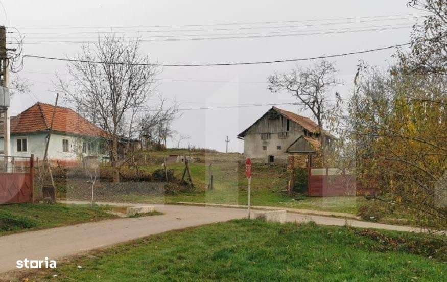 Investitie ! Casa individuala 1 camera, 51 mp, 3000 mp teren, Geaca ! - Imagine principală: 2/5