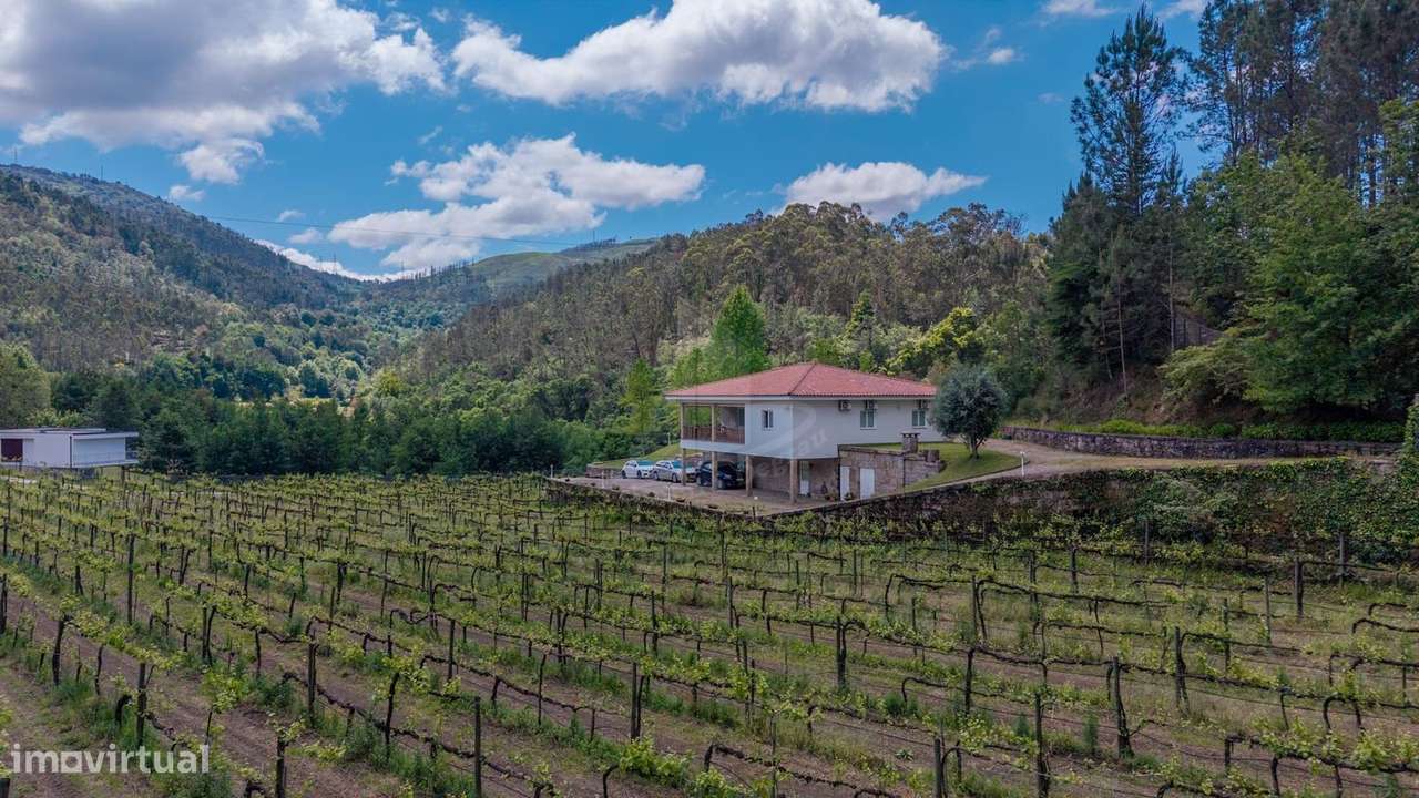 Quinta com Vinha Produtiva e Potencial Turístico junto ao Gerês-40