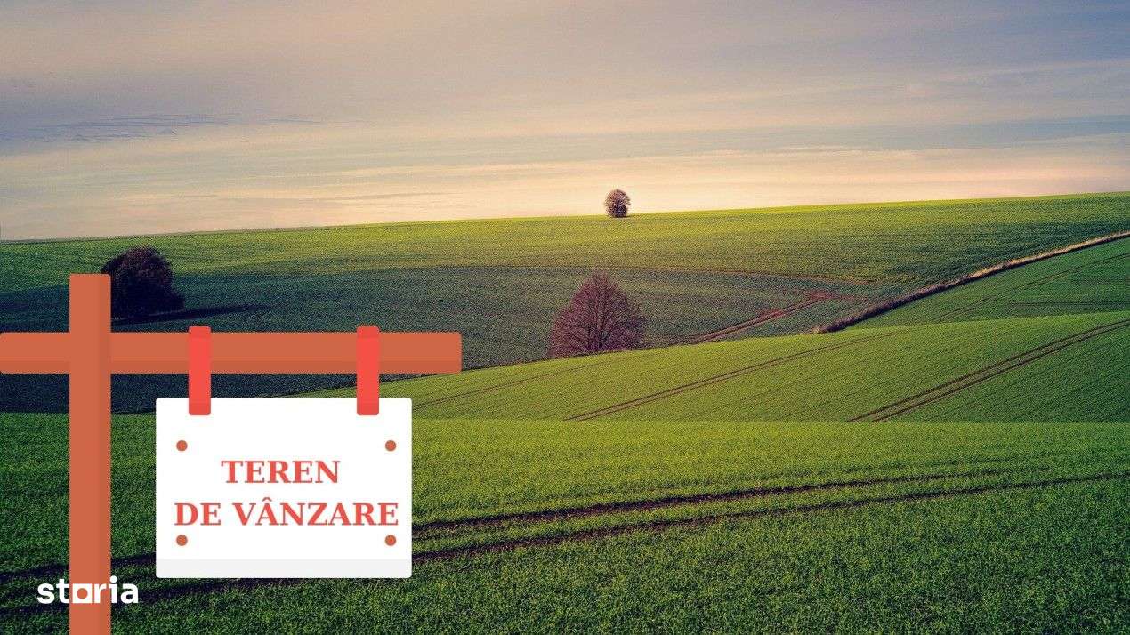 Oportunitate de investitie, 4200mp, intravilan, Savadisla - Imagine principală: 1/1