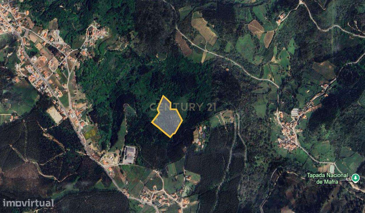 Terreno Rústico -  Mafra (Poço da Serra) - Grande imagem: 2/4
