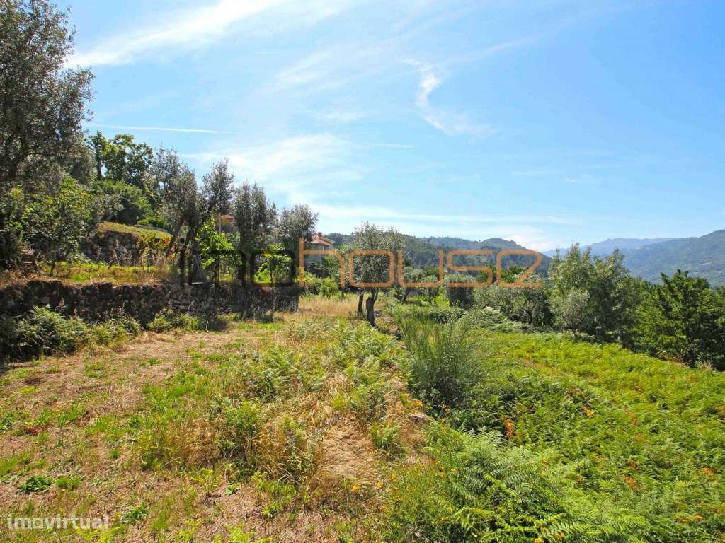 Casa senhorial - Turismo Rural-49