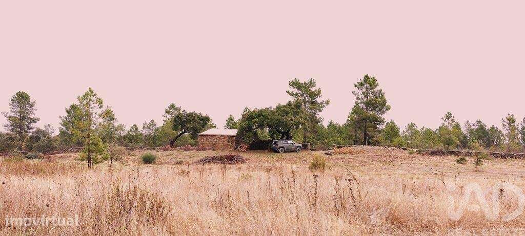 Quinta rural em Benquerenças - Grande imagem: 5/6