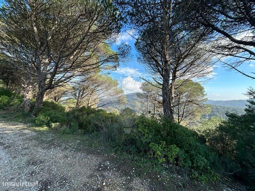 Terreno  para venda - Grande imagem: 4/17