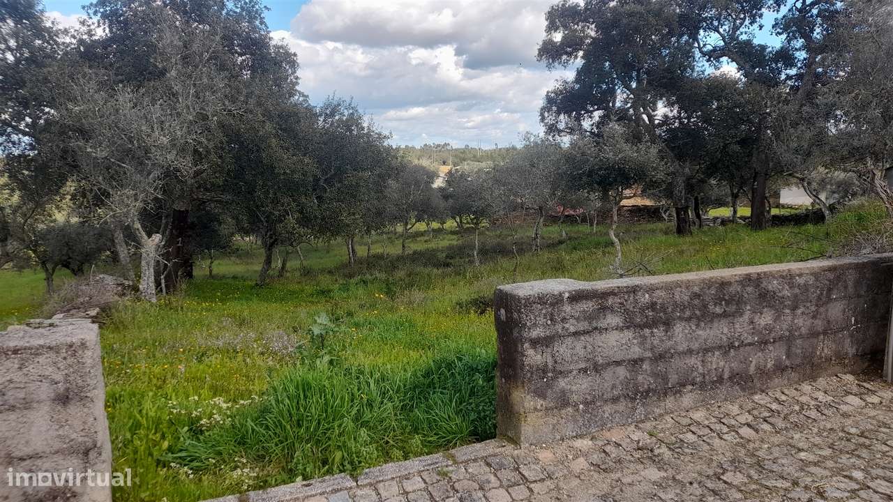 Terreno Para Construção  Venda em Benquerenças,Castelo Branco - Grande imagem: 3/19