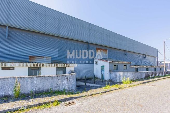 Armazém Industrial de Excelência para Venda – Zona Industrial de Corte-41
