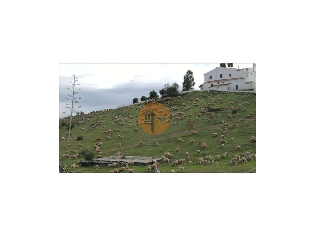 Moradia T2 em Mértola - Grande imagem: 3/9