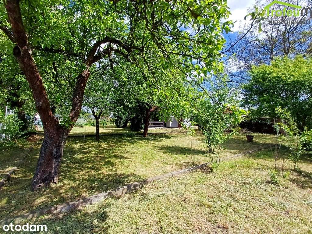 Duża działka ROD Chemik! - Pełny obrazek: 4/9