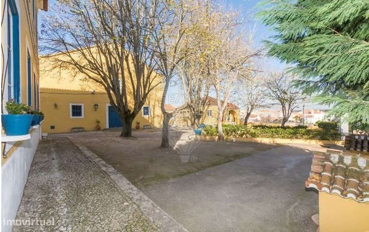 Quinta T21 para venda-37