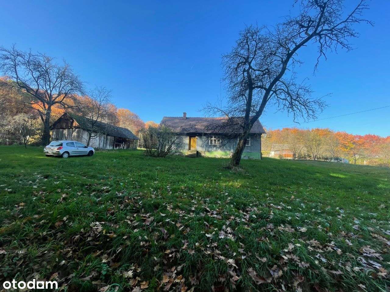 Działka o powierzchni 65 ar w otoczeniu lasu- Hucisko - Pełny obrazek: 1/4