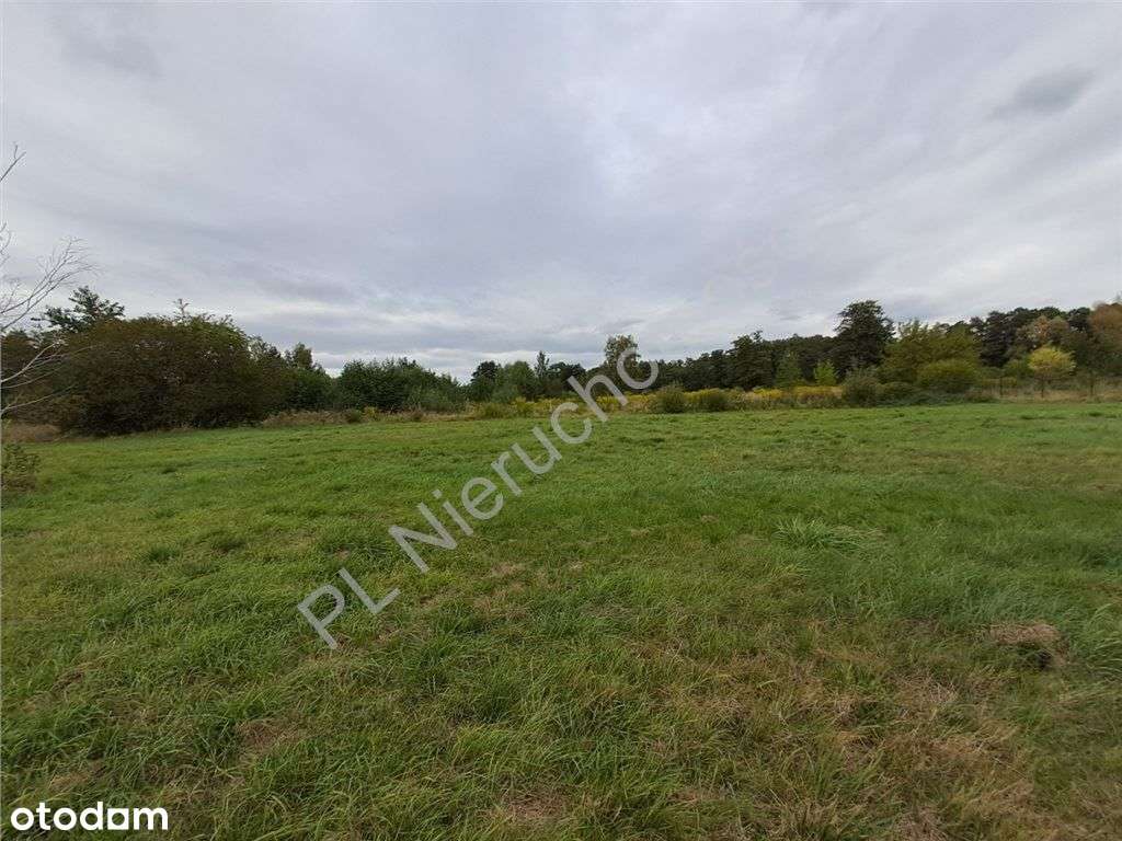 Działka z pozwoleniem i rozpoczętą budową - Pełny obrazek: 4/4